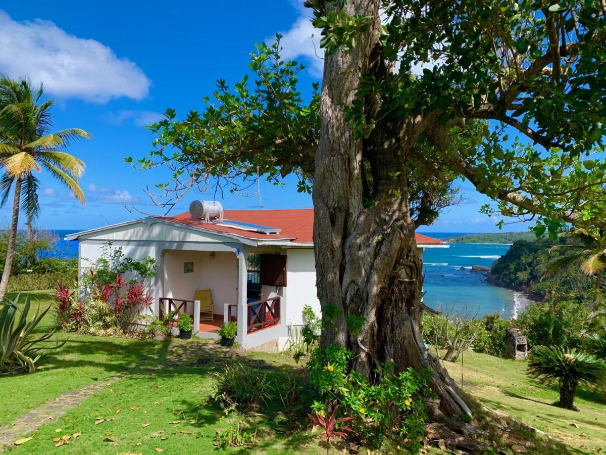 Sea Cliff Eco-Cottages & Gin Distillery Calibishie Exteriér fotografie